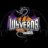 山形飞龙logo